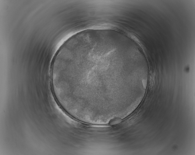 X0000116051487200912111452