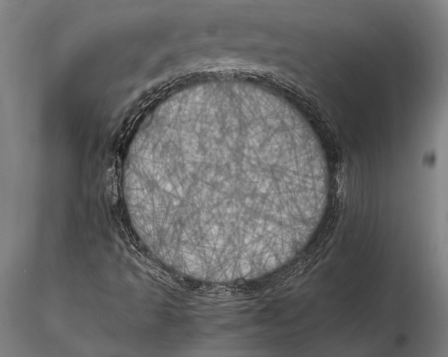 X0000116051493200912111451