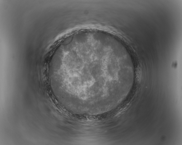 X0000116051494200912111451