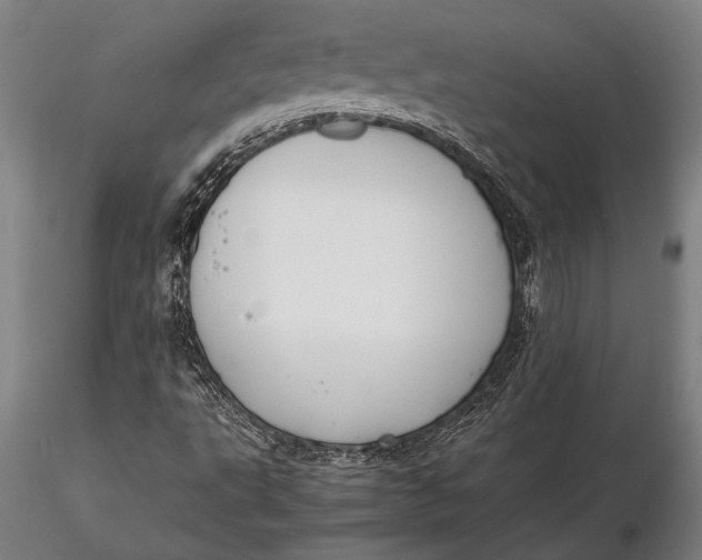 X0000116051495200912111451