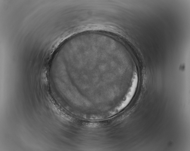 X0000116051497200912111451