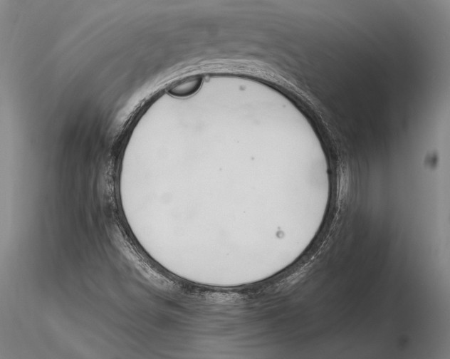X0000116051498200912111451