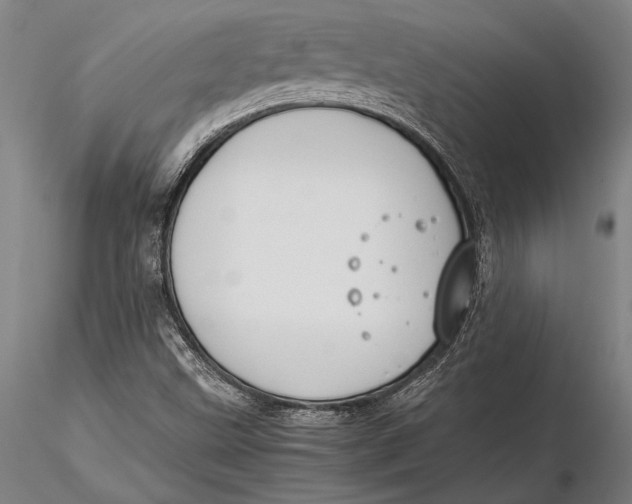 X0000116051499200912111451