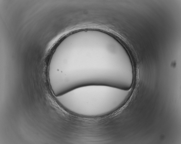 X0000116051502200912111451