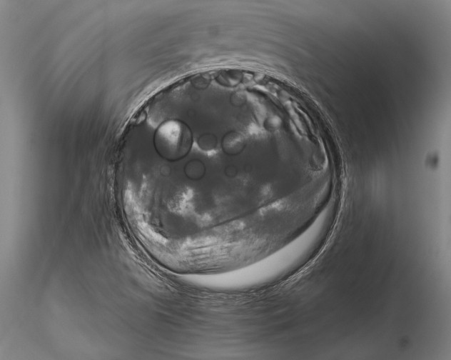 X0000116051505200912111451