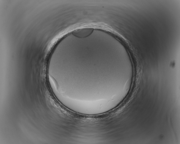 X0000116051506200912111451