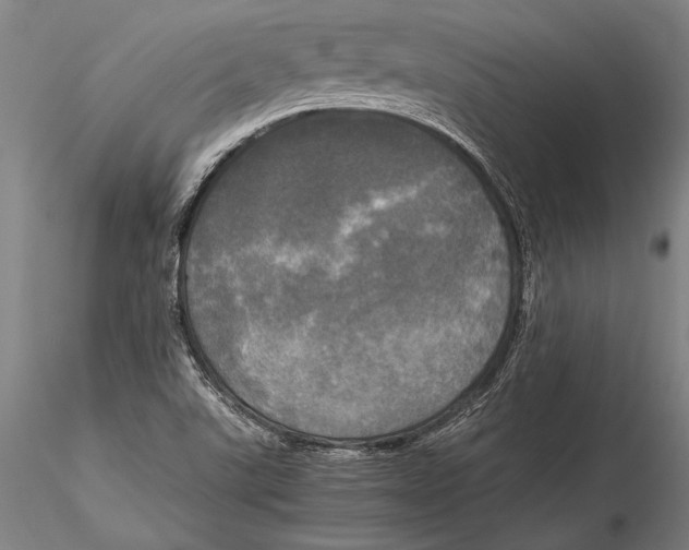 X0000116051507200912111451