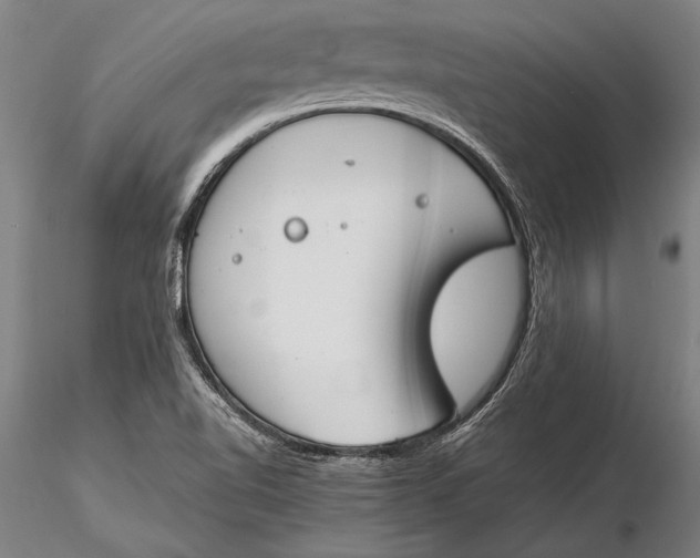 X0000116051510200912111451