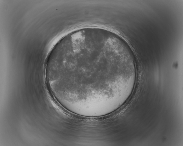 X0000116051511200912111451