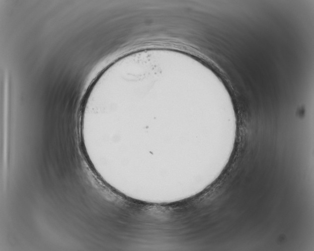 X0000116051514200912111451