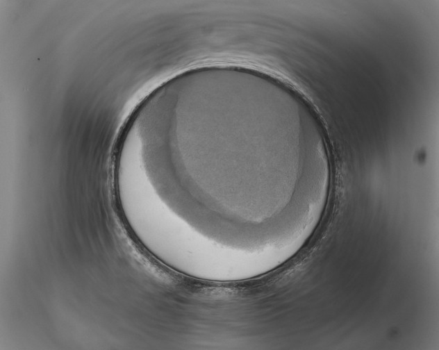 X0000116051517200912111451