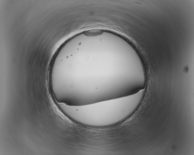 X0000116051518200912111451