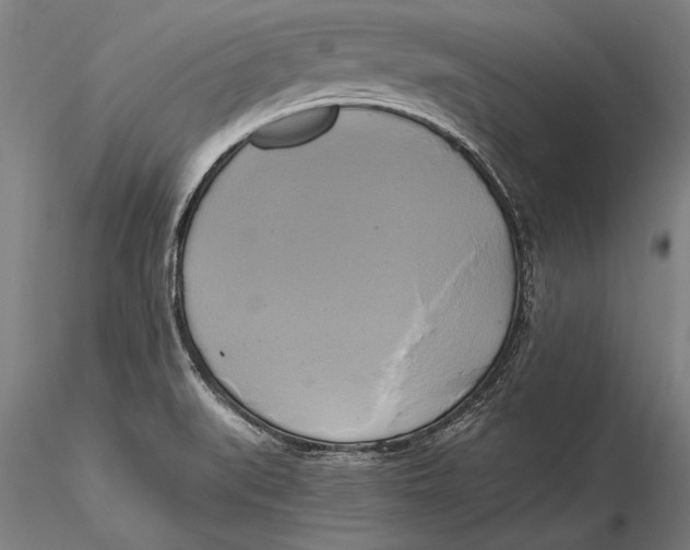 X0000116051519200912111451