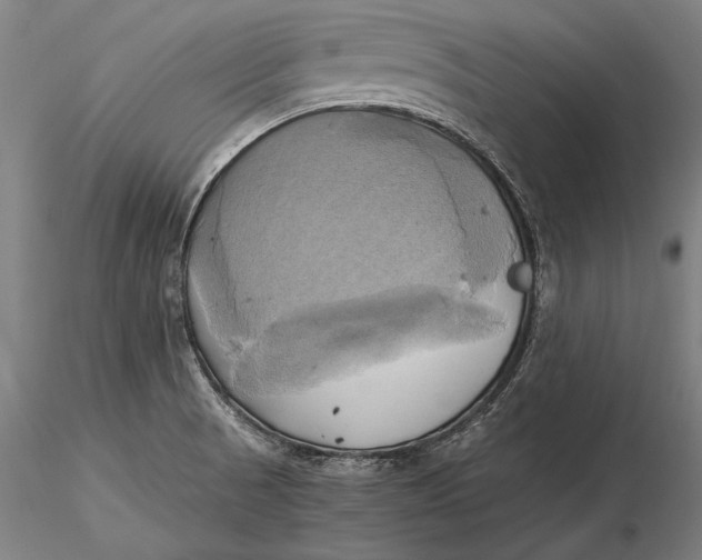 X0000116051521200912111452
