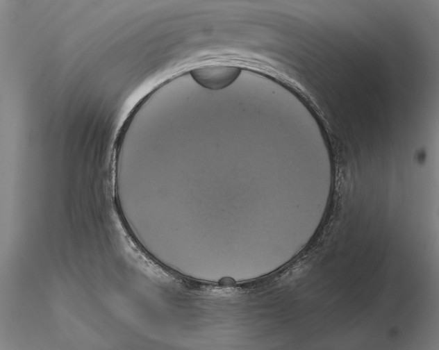 X0000116051522200912111452