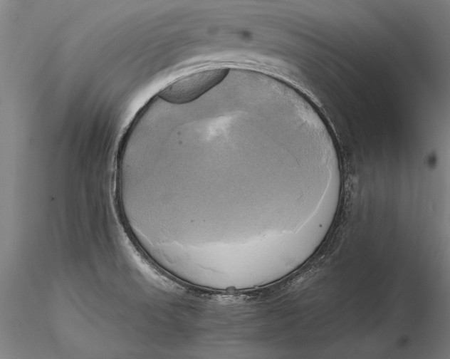 X0000116051523200912111452