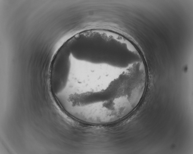 X0000116051525200912111452
