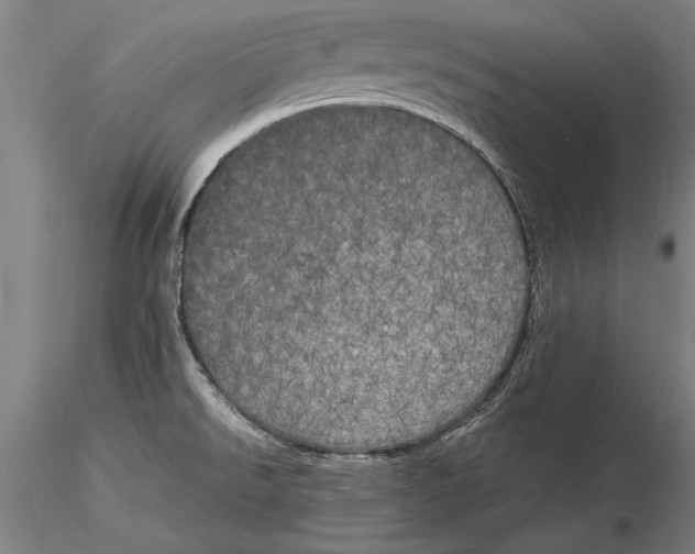 X0000116051526200912111452