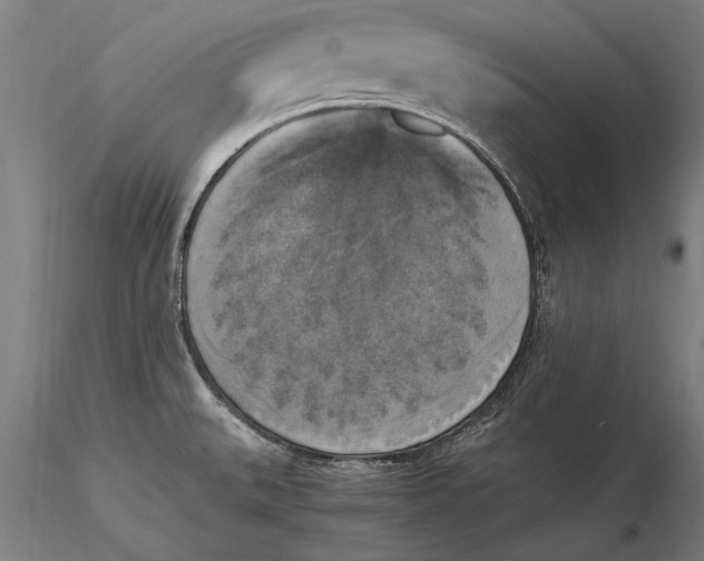 X0000116051527200912111452