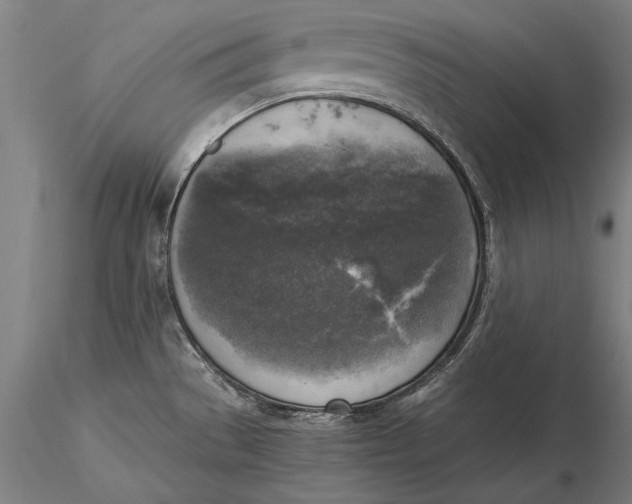 X0000116051529200912111452