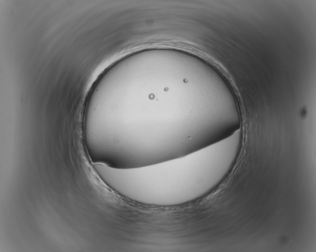 X0000116051530200912111452
