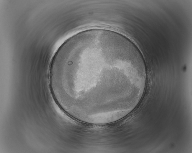 X0000116051531200912111452