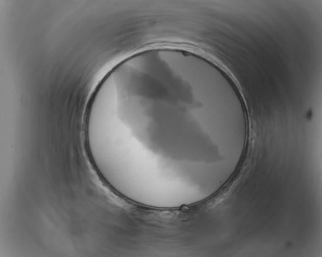 X0000116051533200912111452