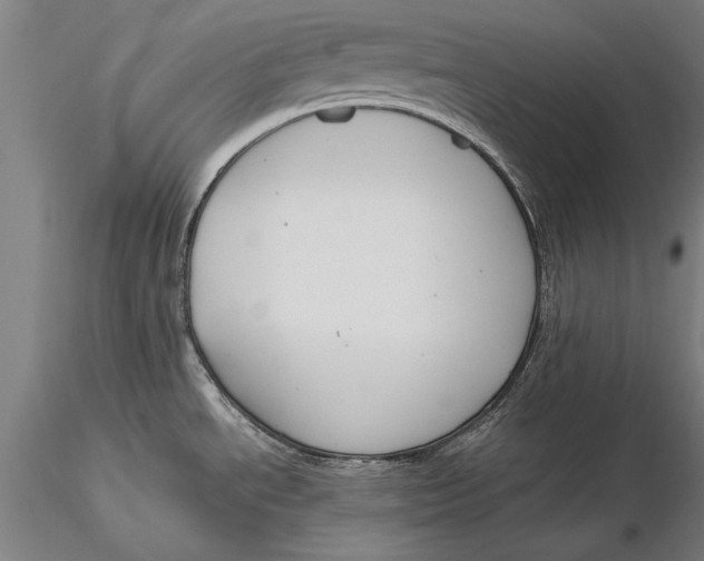 X0000116051534200912111452