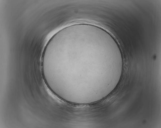X0000116051535200912111452