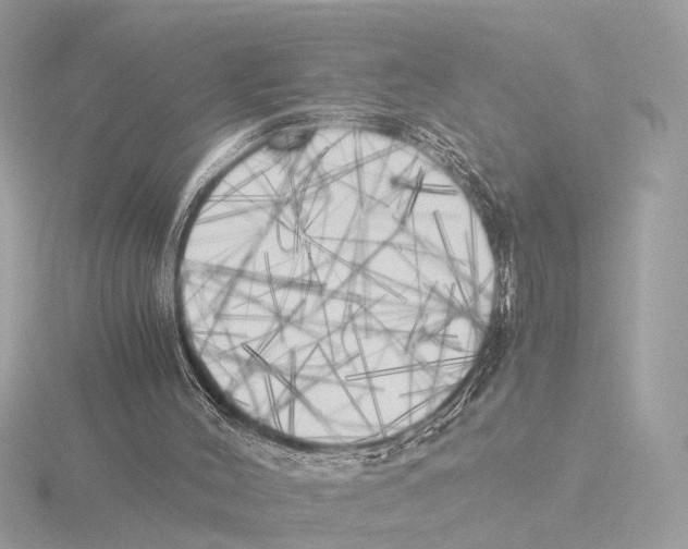 X0000116050004200912181302