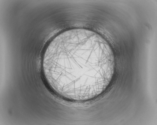 X0000116050016200912181302