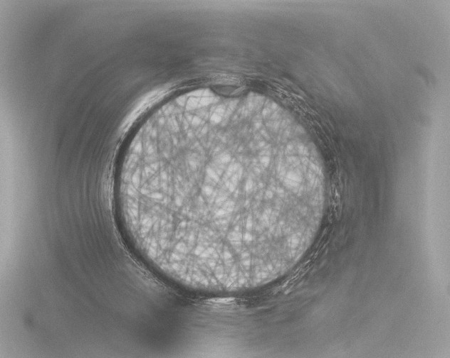 X0000116050054200912181300