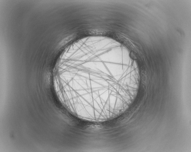 X0000116050071200912181301