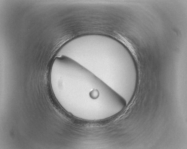 X0000116050105200912181300