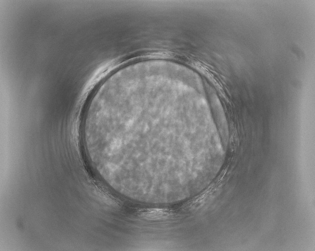 X0000116050151200912181259