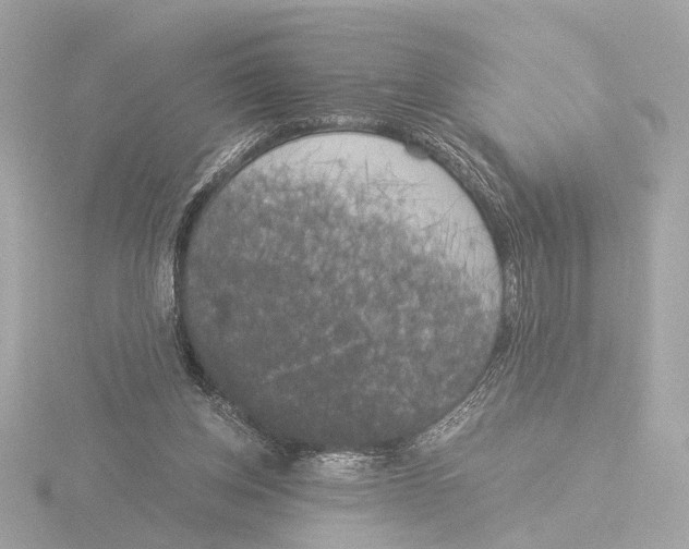 X0000116050158200912181259