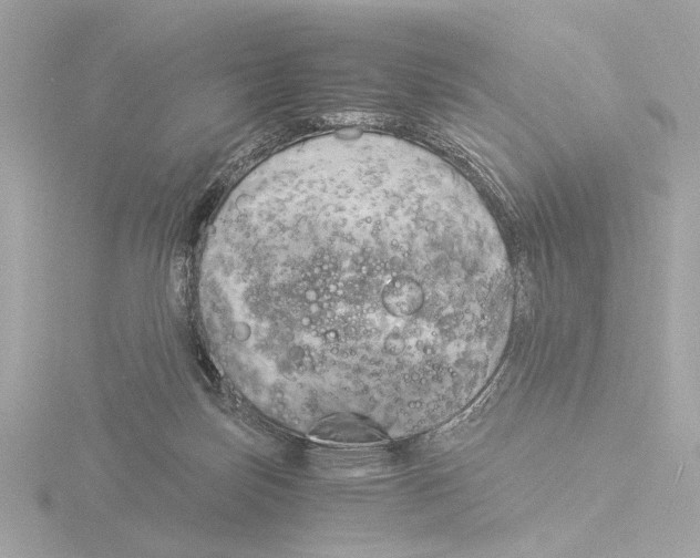 X0000116050171200912181259
