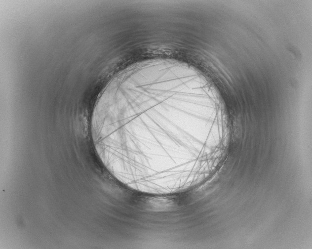 X0000116050183200912181259
