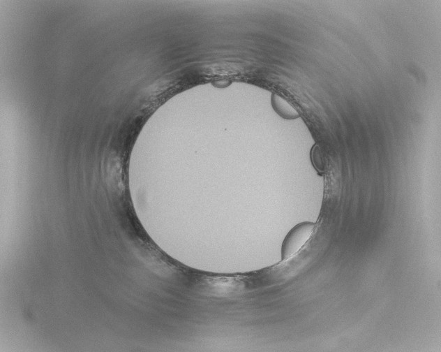 X0000116050187200912181259