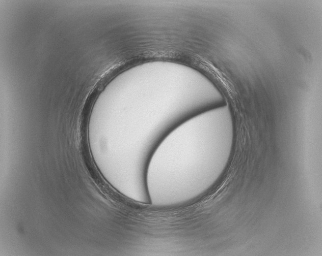 X0000116050203200912181259