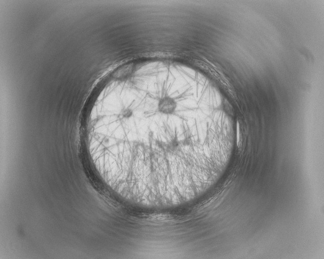 X0000116050204200912181259