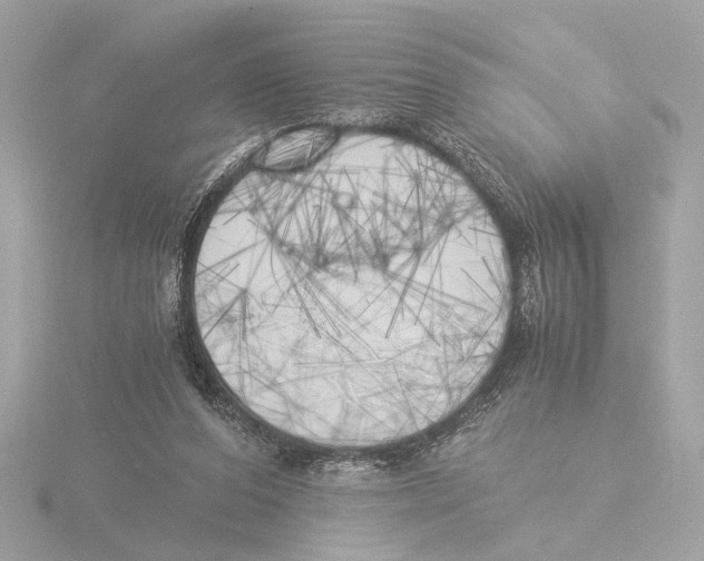 X0000116050208200912181259