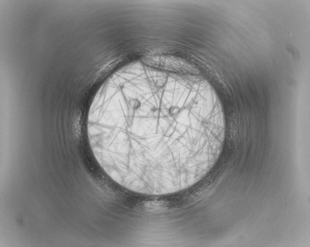 X0000116050216200912181258