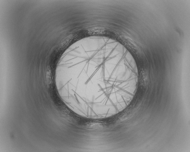 X0000116050224200912181258