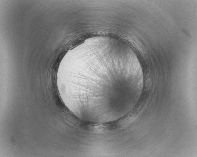 X0000116050229200912181258