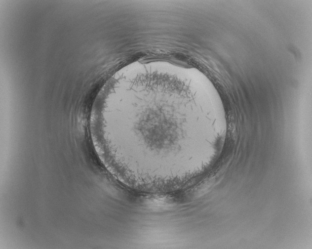 X0000116050235200912181258