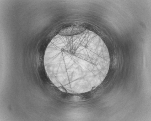 X0000116050236200912181258