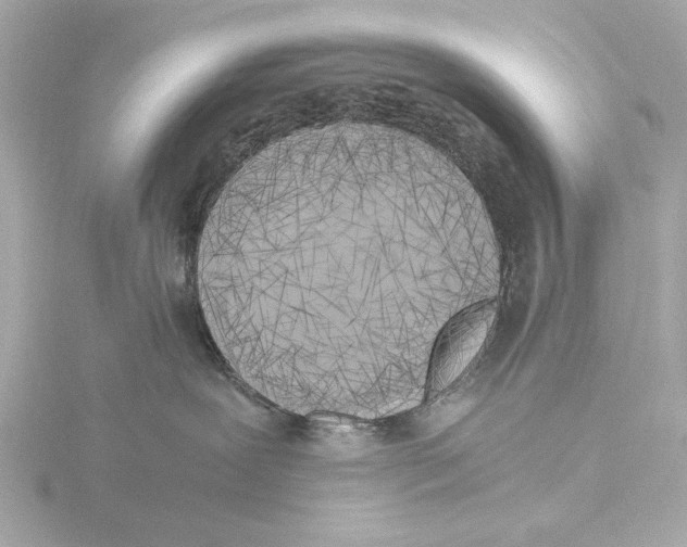 X0000116050239200912181258