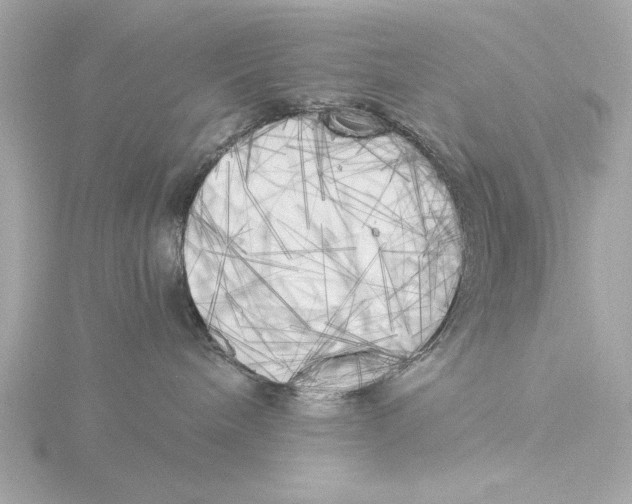 X0000116050240200912181258