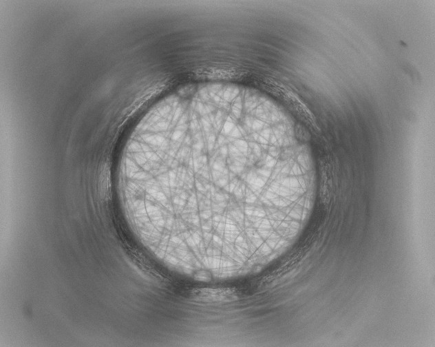 X0000116050251200912181258